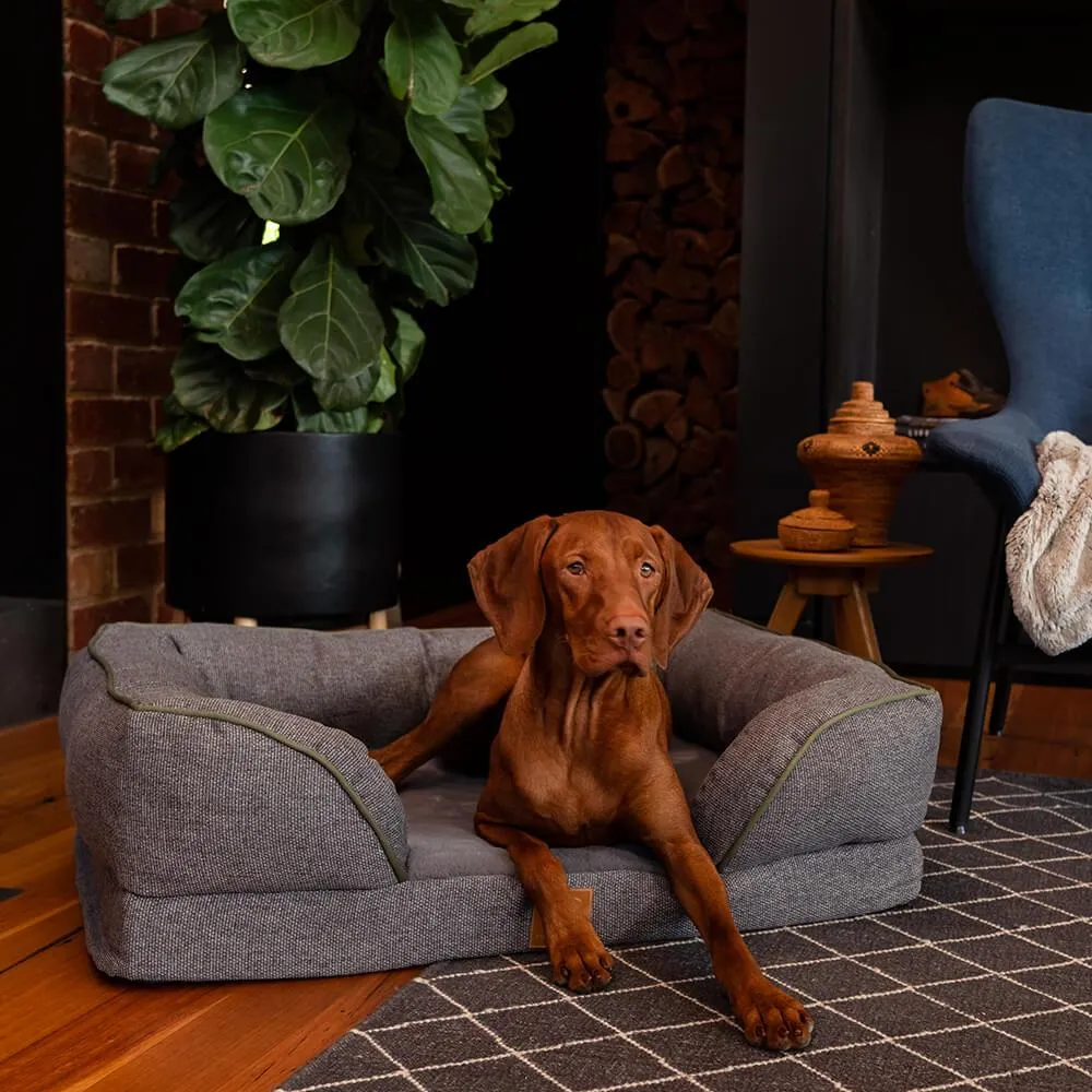 Buddy & Belle Orthopaedic Lounge Bed Large Steel Grey