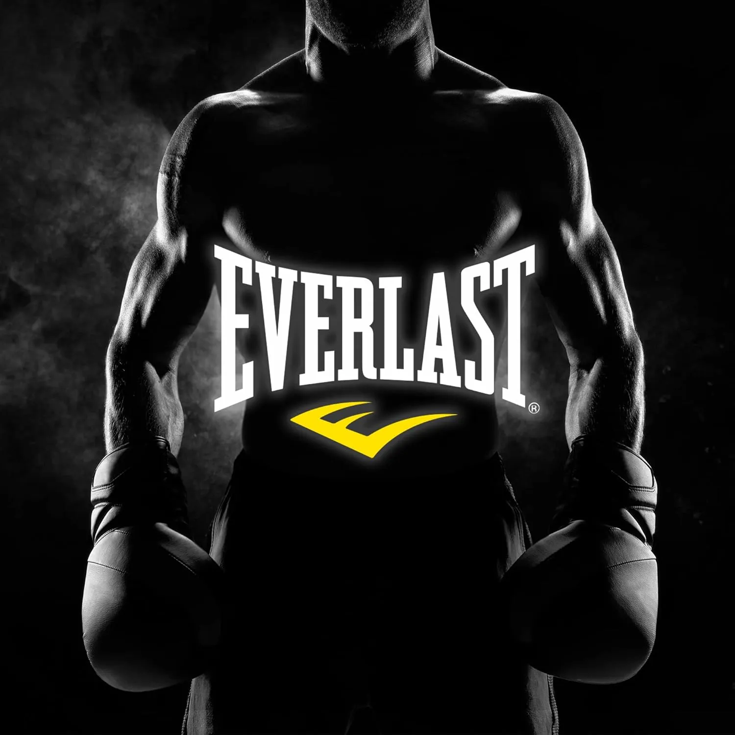 Everlast 6-Pack Men's Essential V-Neck Undershirts  Breathable, Tagless, Cotton Mens T Shirt  T Shirts for Men Pack