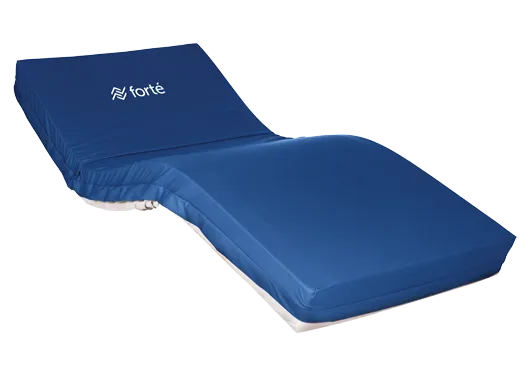 ICON MAXX 500KG