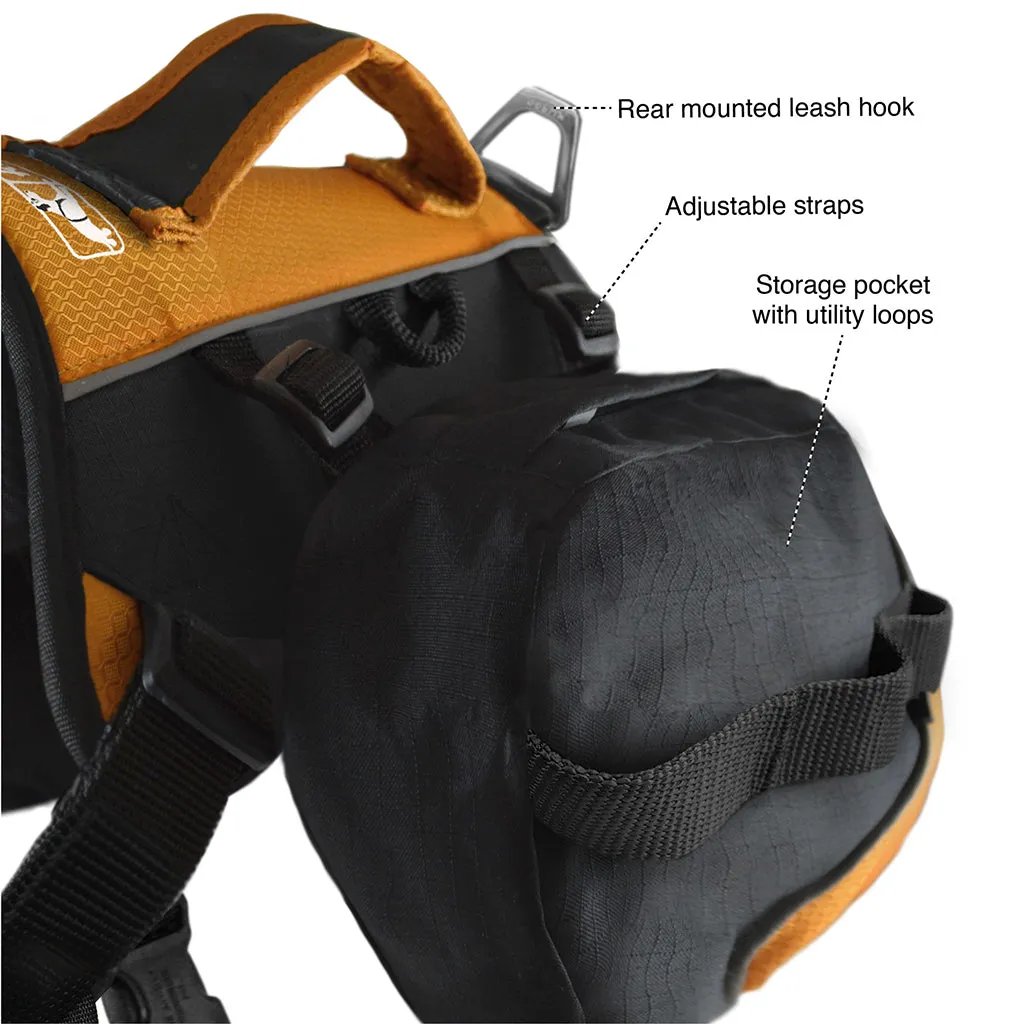 Kurgo Big Baxter Backpack