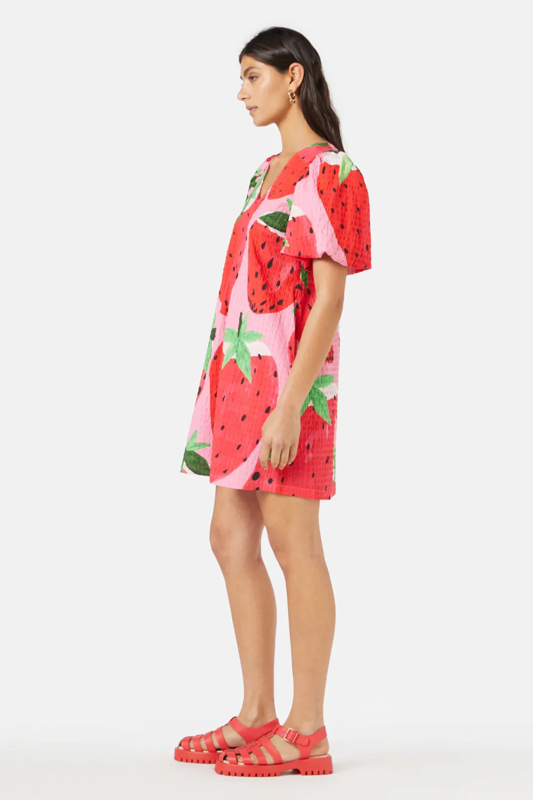 Strawberry Patch Smock Dress