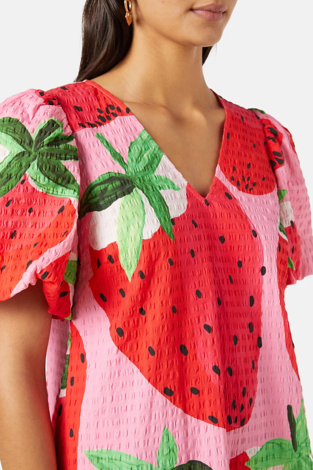 Strawberry Patch Smock Dress