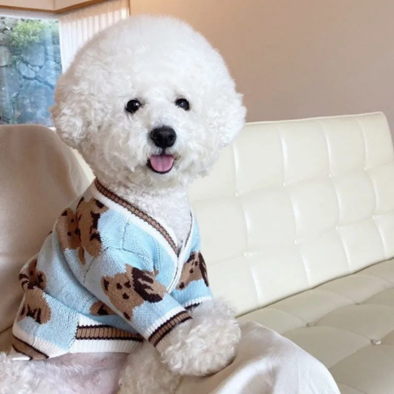 Teddy Print Button Front Pet Cardigan Sweater