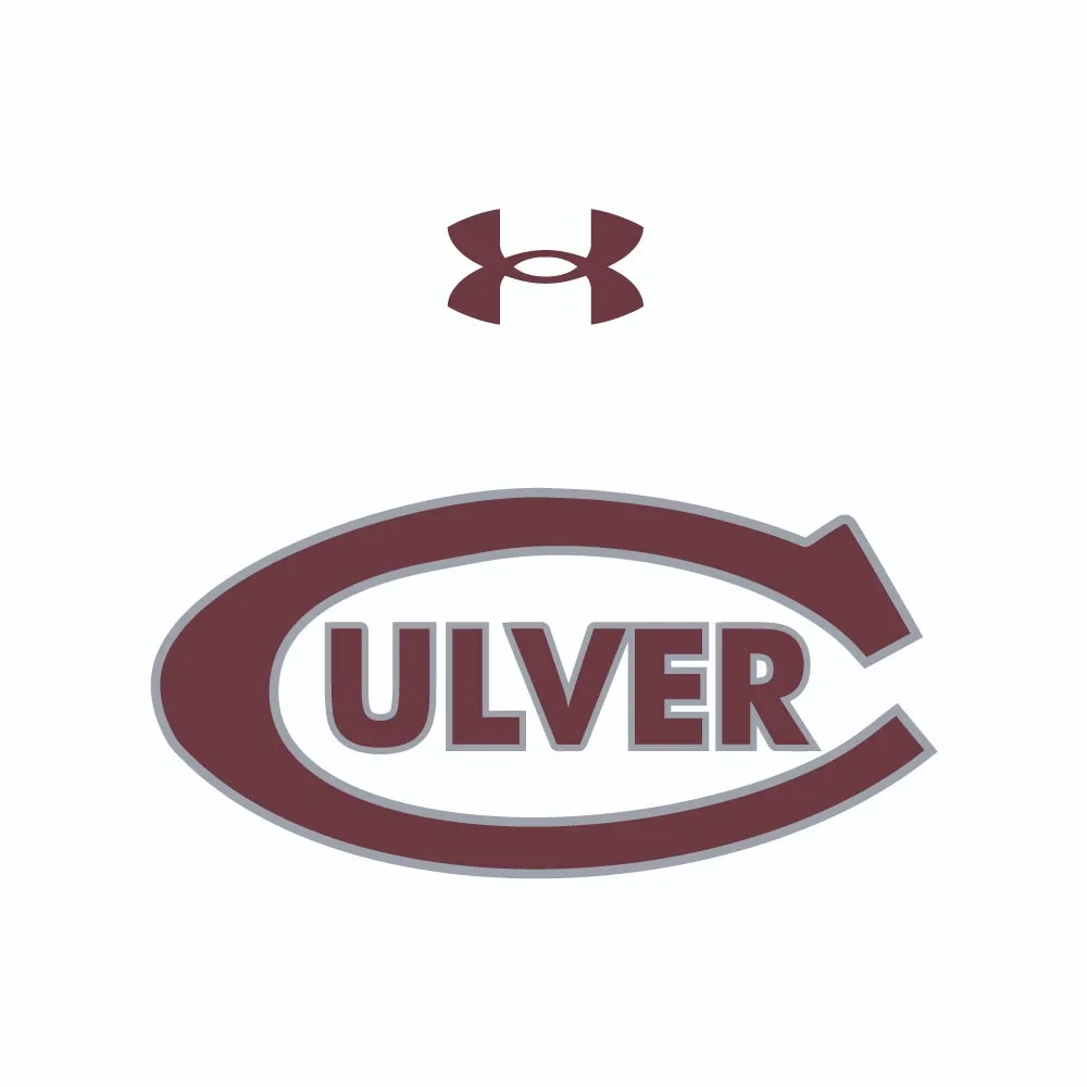 Under Armour Tech Mesh Tee 2.0 - White